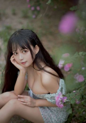 电视剧女士的品格免费观看完整版