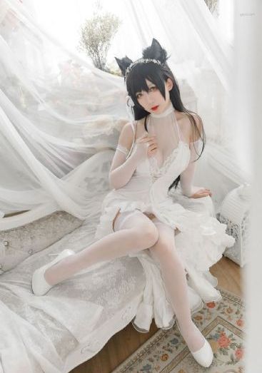 蔷薇风暴电视剧免费播放高清版
