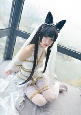 内裤奇缘大团结网